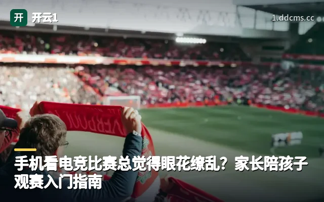 手机看电竞比赛总觉得眼花缭乱？家长陪孩子观赛入门指南