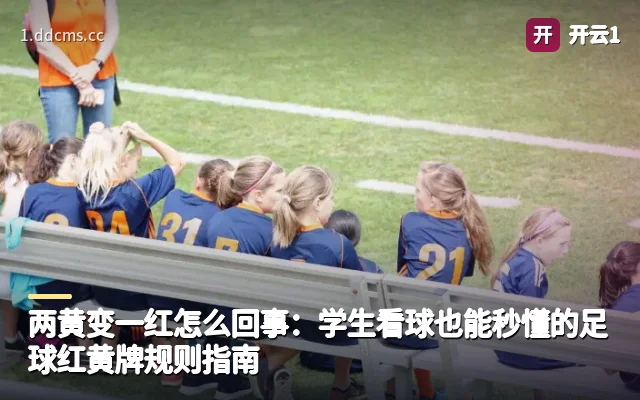 两黄变一红怎么回事：学生看球也能秒懂的足球红黄牌规则指南