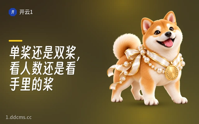 单桨还是双桨，看人数还是看手里的桨
